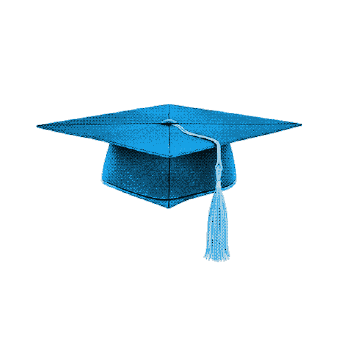 Stufe 4: Professional – ein Doktorhut